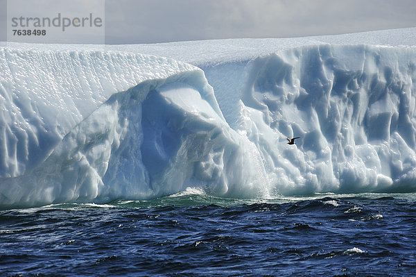 Eisberg  fließen  Eis  Natur  Neufundland  Twillingate  Kanada