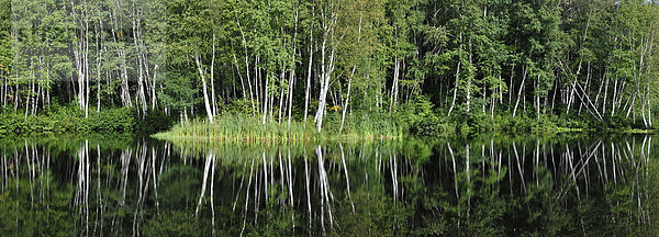 Panorama  Wasser  Baum  grün  Spiegelung  Wald  Querformat  Fluss  Kanada  Quebec