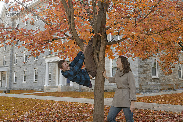 Vereinigte Staaten von Amerika  USA  Frau  Mann  Ostküste  Amerika  Baum  bizarr  Herbst  Nordamerika  Student  Neuengland  jung  Campus  Klettern  Hochschule  Laub  Spaß  Vermont