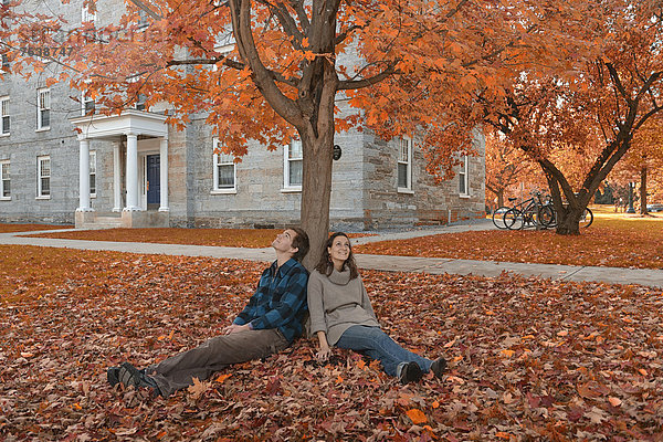 Vereinigte Staaten von Amerika  USA  sitzend  Frau  Mann  Fröhlichkeit  Ostküste  Amerika  Baum  Herbst  Nordamerika  Student  Neuengland  jung  Campus  Hochschule  Laub  Spaß  Vermont