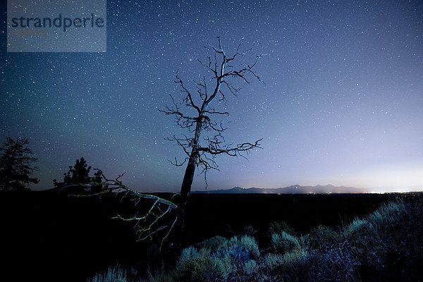 Vereinigte Staaten von Amerika USA Biegung Biegungen Kurve Kurven gewölbt Bogen gebogen sternförmig Amerika Nacht Lichtverschmutzung Cascade Mountain Oregon