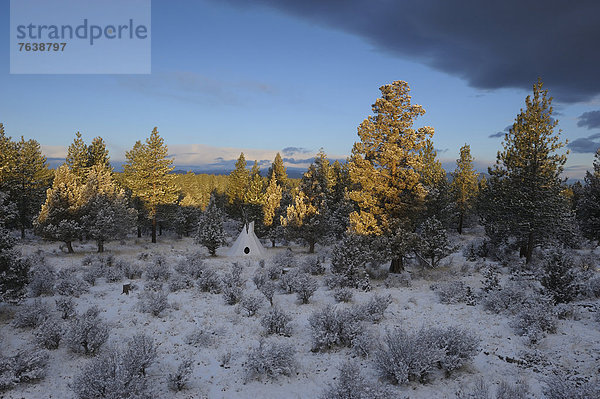 Vereinigte Staaten von Amerika  USA  Berg  Winter  Amerika  Landschaft  Ereignis  Indianer  Indianerzelt  Schneedecke  Oregon  Schnee