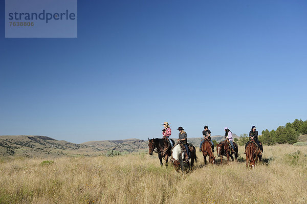 Vereinigte Staaten von Amerika  USA  Frau  Sport  Amerika  Himmel  Tourist  reiten - Pferd  Gras  Mädchen  Cowgirl  Oregon  Ranch