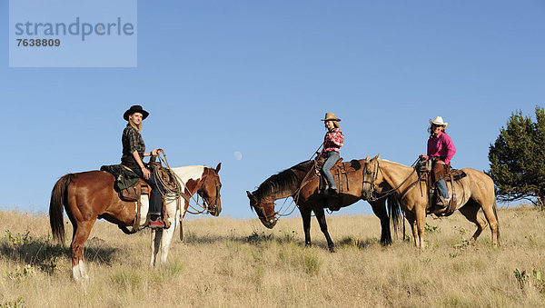 Vereinigte Staaten von Amerika  USA  Sport  Amerika  Tourist  reiten - Pferd  jung  Gras  Mädchen  Oregon  Ranch
