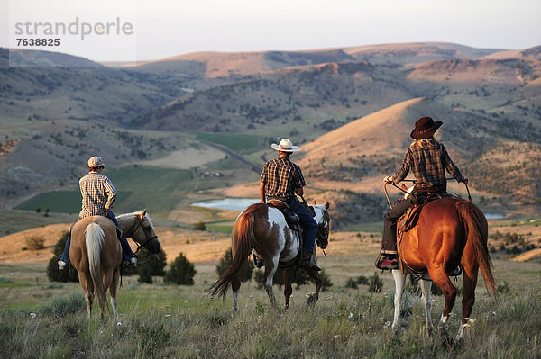 Vereinigte Staaten von Amerika  USA  Frau  Sport  Amerika  grün  Tal  reiten - Pferd  Gras  Mädchen  Cowboy  Cowgirl  Oregon  Ranch