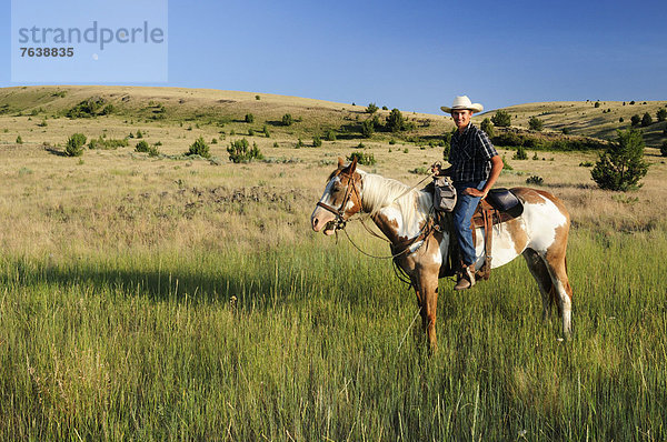 Vereinigte Staaten von Amerika  USA  Sport  Amerika  grün  reiten - Pferd  Gras  Cowboy  Oregon  Ranch