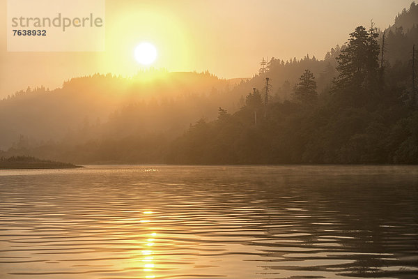 Vereinigte Staaten von Amerika  USA  Wasser  Berg  Amerika  Morgen  Küste  Sonnenaufgang  Dunst  Spiegelung  Landschaftlich schön  landschaftlich reizvoll  Natur  Fluss  ungestüm  Nordamerika  Oregon