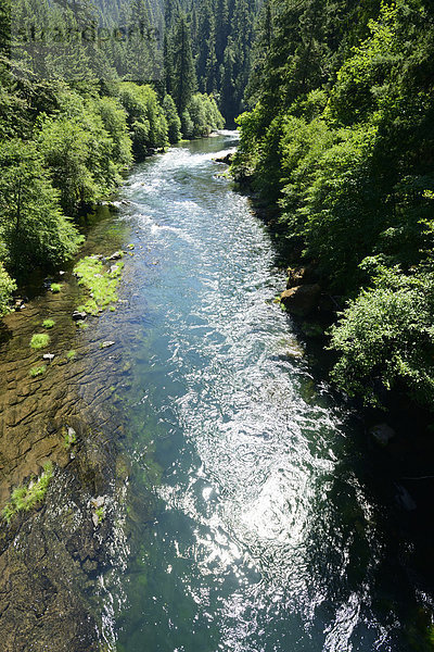 Vereinigte Staaten von Amerika  USA  Amerika  Wald  Fluss  Oregon