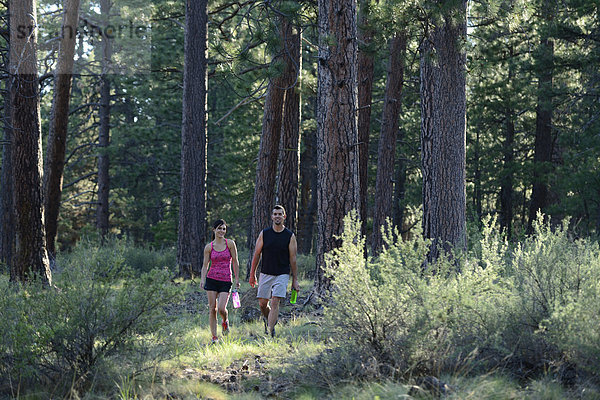 Vereinigte Staaten von Amerika  USA  Frau  Mann  Amerika  gehen  folgen  rennen  Wald  Nordamerika  Außenaufnahme  Oregon
