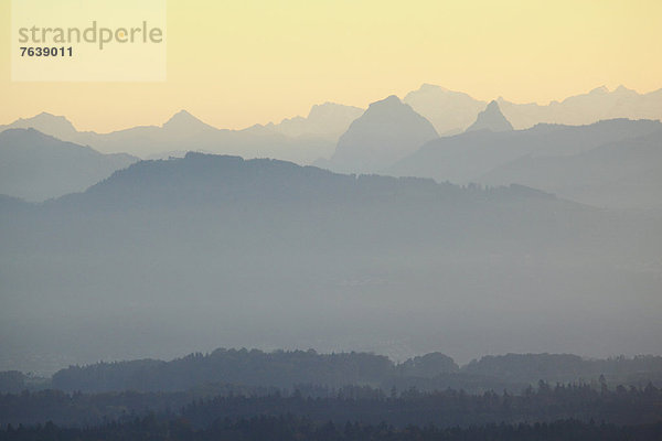 Panorama Europa Berg Konzept Silhouette Dunst Wald Stimmung Nebel Holz Alpen Herbst Ansicht Abenddämmerung Schweiz Zürich Bergpanorama Nebelfelder Zentralschweiz