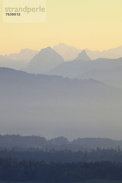 Panorama Europa Berg Konzept Silhouette Dunst Wald Stimmung Nebel Holz Alpen Herbst Ansicht Abenddämmerung Schweiz Zürich Bergpanorama Nebelfelder Zentralschweiz