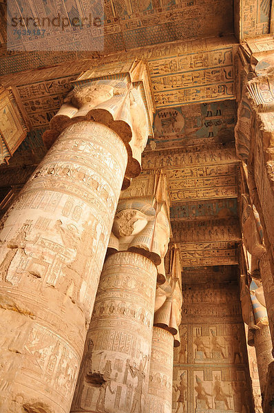 hoch  oben  Schönheit  Liebe  Halle  Säule  streichen  streicht  streichend  anstreichen  anstreichend  Schwangerschaft  Ägypten  antik  Decke  Fruchtbarkeit  Göttin