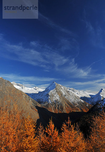 drehen Baum wandern Alpen Berggipfel Gipfel Spitze Spitzen Vollkommenheit Lärche Wetter