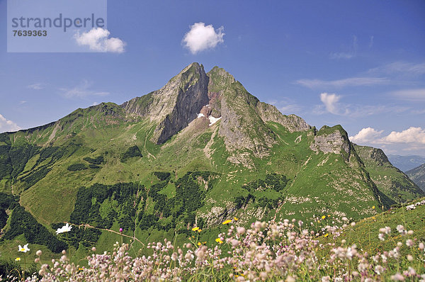 Landschaftlich schön  landschaftlich reizvoll  Europa  Berg  Landschaft  Alpen  Bayern  Deutschland
