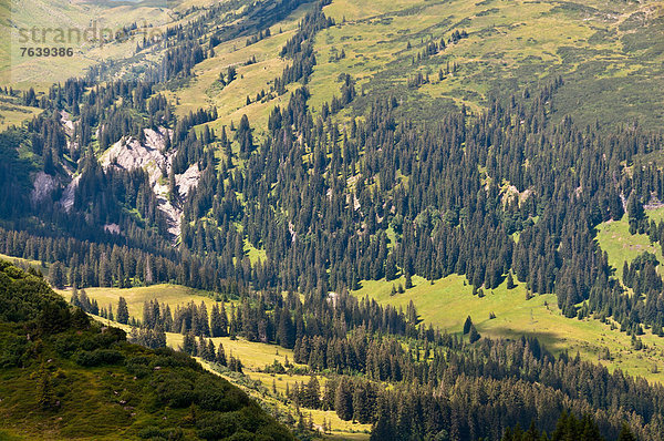 Landschaftlich schön landschaftlich reizvoll Europa Landschaft Tal Wald Holz Alpen Österreich Vorarlberg