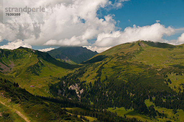 Panorama  Europa  grün  Tal  Alpen  Österreich  Vorarlberg