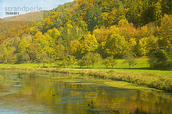 Landschaftlich schön  landschaftlich reizvoll  Europa  Landschaft  fließen  Fluss  blau  Baden-Württemberg  Deutschland