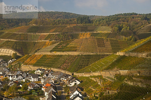 Europa  Wein  Rotwein  Weinberg  Ahrtal  Eifel  Deutschland  Rheinland-Pfalz