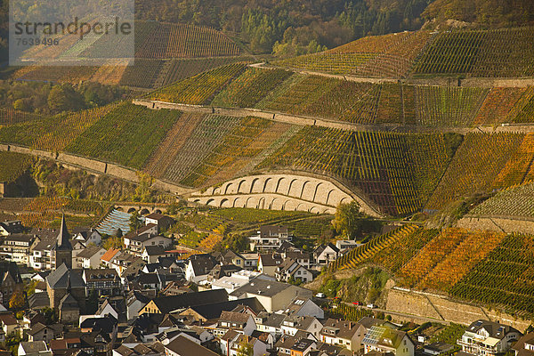 Europa  Wein  Rotwein  Herbst  Weinberg  Ahrtal  Eifel  Deutschland  Rheinland-Pfalz