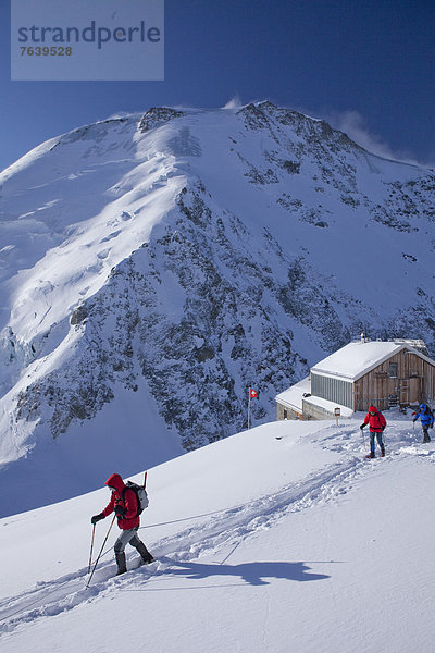 Hütte Schneeschuh Berg Eis Gletscher Moräne Graubruststrandläufer Calidris melanotos Berghütte Almhütte Aletschgletscher