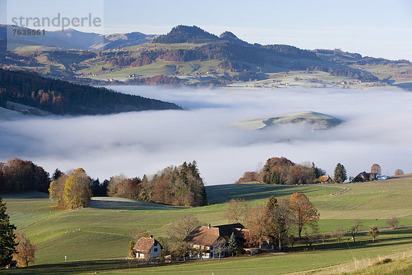 Landschaftlich schön landschaftlich reizvoll Europa Landschaft Nebel Herbst Bern Berner Oberland Schweiz Nebelmeer