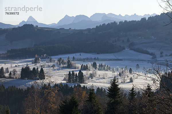 Europa Berg Winter Landschaft Wald Natur Holz Herbst Sumpf Moor Schweiz Zentralschweiz