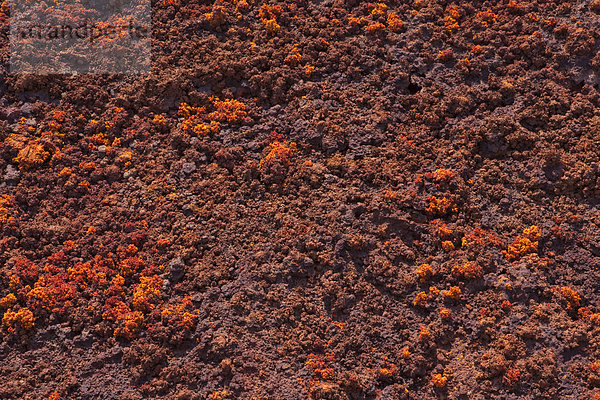 Landschaftlich schön  landschaftlich reizvoll  Landschaft  Geologie  Natur  Schwefel  Afrika  Äthiopien  Mineral