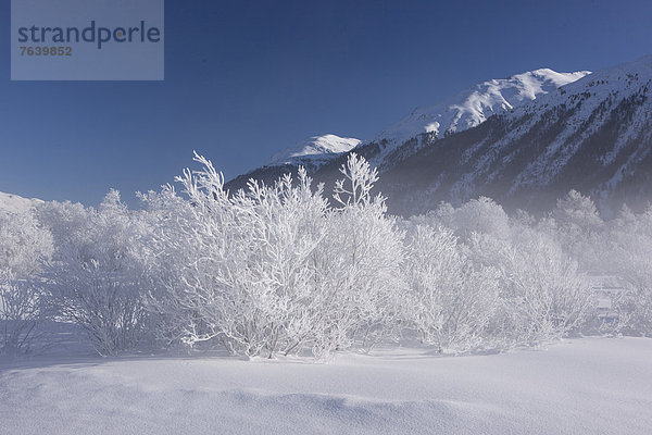 Europa Winter Landschaft fließen Nebel Fluss Hotel Kanton Graubünden Engadin Oberengadin Schnee Schweiz