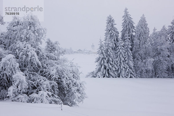 Landschaftlich schön landschaftlich reizvoll Europa Winter Baum Landschaft weiß Dorf Montfaucon Schnee Schweiz