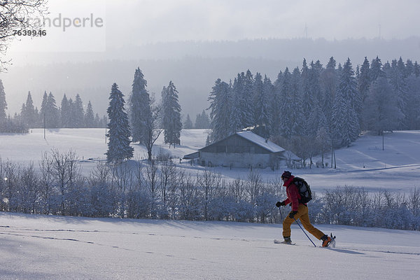 Winter Mann gehen schnitzen wandern Skisport Ski trekking Wintersport