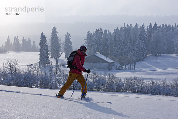 Winter Mann gehen schnitzen wandern Skisport Ski trekking Wintersport