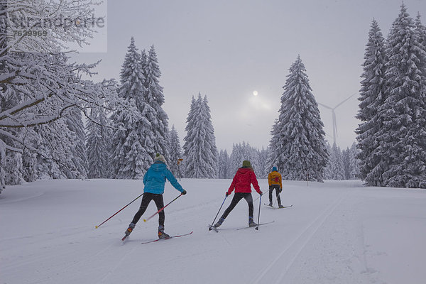 Winter Wald Holz Ski Langlaufski Wintersport