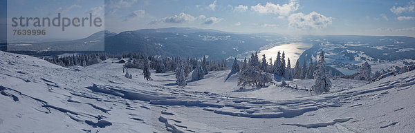 Panorama Landschaftlich schön landschaftlich reizvoll Europa Berg Winter Baum Landschaft See Ansicht Schweiz