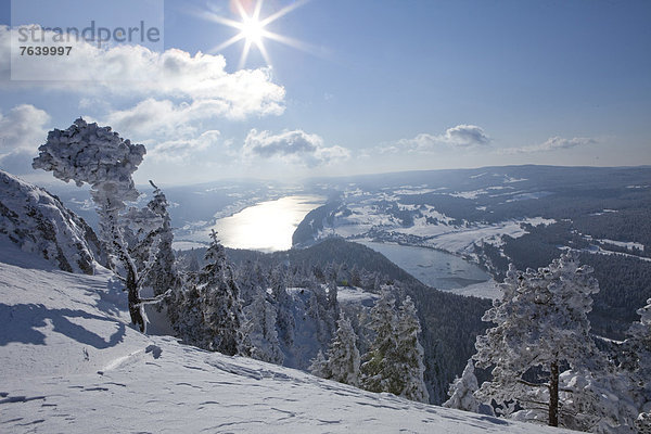 Landschaftlich schön landschaftlich reizvoll Europa Berg Winter Baum Landschaft See Ansicht Sonne Schweiz