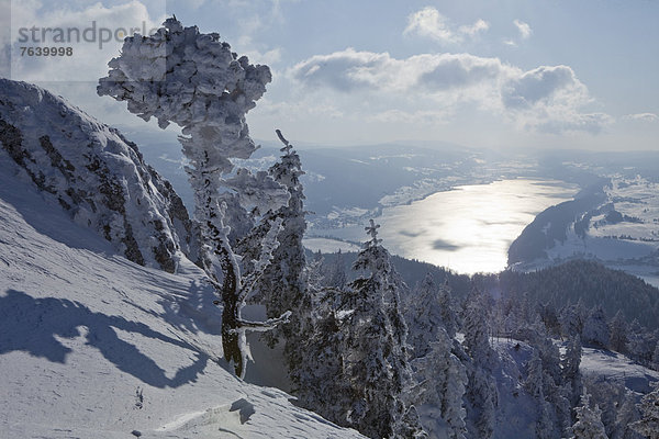 Landschaftlich schön landschaftlich reizvoll Europa Berg Winter Baum Landschaft See Ansicht Schweiz