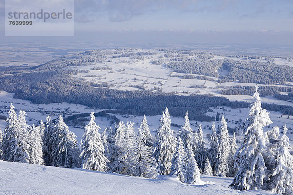 Landschaftlich schön landschaftlich reizvoll Europa Berg Winter Baum Landschaft Alpen Ansicht Schweiz