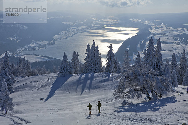 Landschaftlich schön landschaftlich reizvoll Europa Berg Winter Baum Landschaft See Ansicht Schweiz