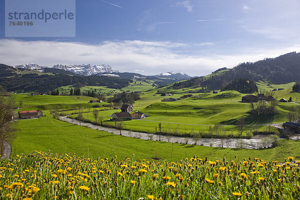 Landschaftlich schön landschaftlich reizvoll Europa Blume Landschaft Landwirtschaft Kultur Gegenstand Schweiz