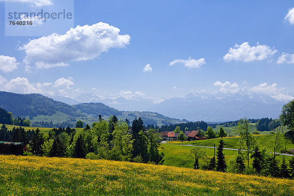Landschaftlich schön landschaftlich reizvoll Europa Landschaft Hügel Schweiz Zürich