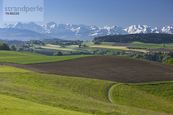 Landschaftlich schön landschaftlich reizvoll Europa Berg Landschaft Landwirtschaft Alpen Eiger Bern Mönch Schweiz