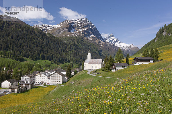 Europa Dorf Wiese Kanton Graubünden Schweiz