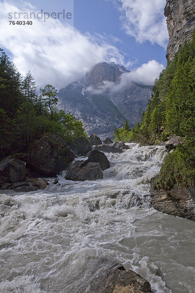 Wasser Europa Natur fließen Fluss Bach ungestüm Bern Berner Oberland Schweiz Gewässer