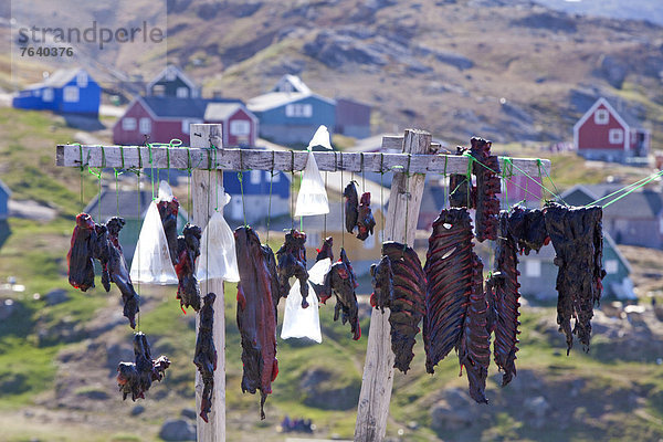 Lebensmittel  trocken  essen  essend  isst  Grönland