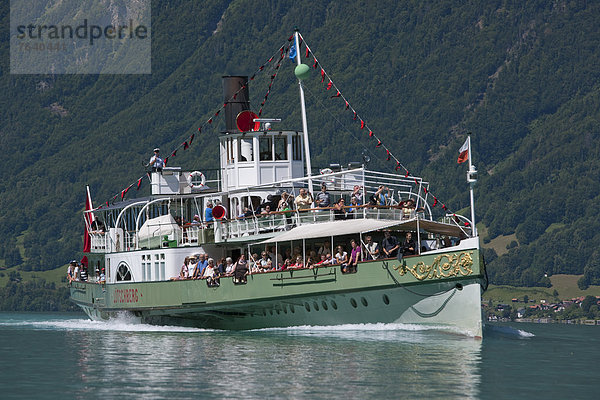 Raddampfer Europa Boot Schiff Bern Berner Oberland Dampfer Schweiz