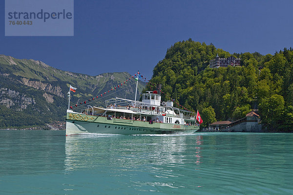 Raddampfer Wasser Europa Hotel Boot Schiff Bern Berner Oberland Dampfer Schweiz