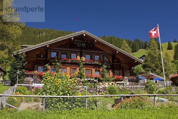 bauen Berg Blume Wohnhaus Gebäude Dorf Fahne Chalet Bern Berner Oberland