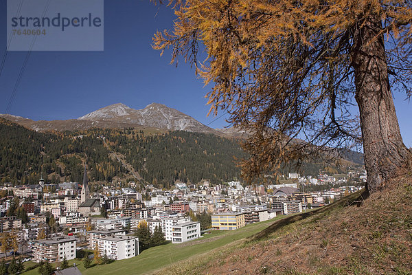 Europa Stadt Großstadt Dorf Herbst Kanton Graubünden Davos Schweiz