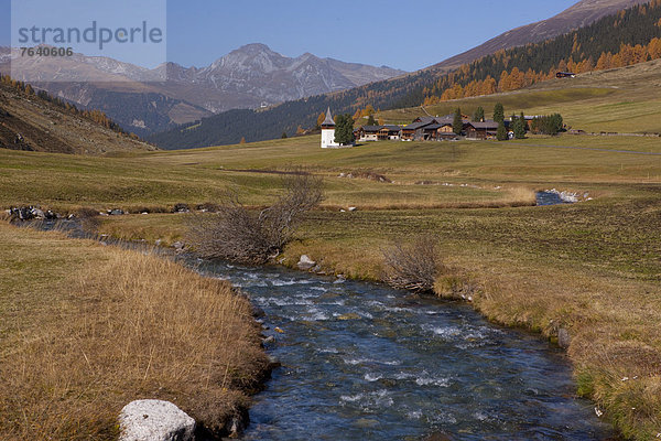 Wasser Europa Wald fließen Fluss Bach Holz Herbst Kanton Graubünden Schweiz Gewässer