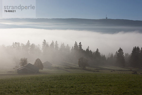 Europa Landwirtschaft Nebel Herbst Antenne Bern Schweiz Nebelmeer