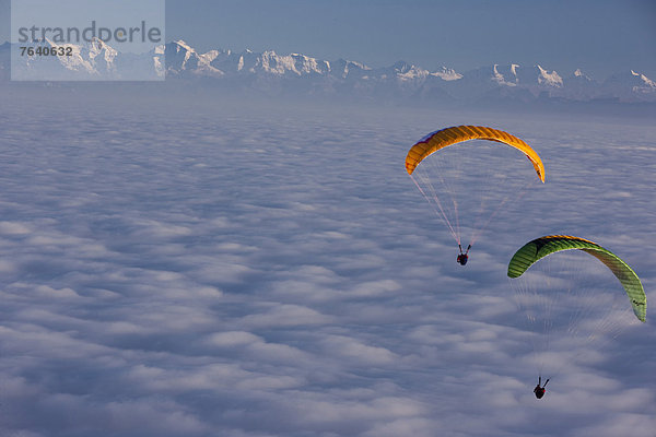 Freizeit Europa Berg Sport Abenteuer Nebel Alpen Herbst Gleitschirm Eiger Bern Mönch Gleitschirmfliegen Schweiz Nebelmeer